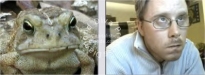 toadface